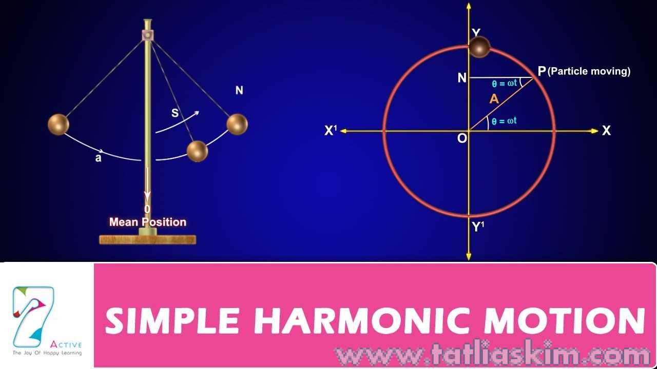 Basit Harmonik Hareket Formülleri