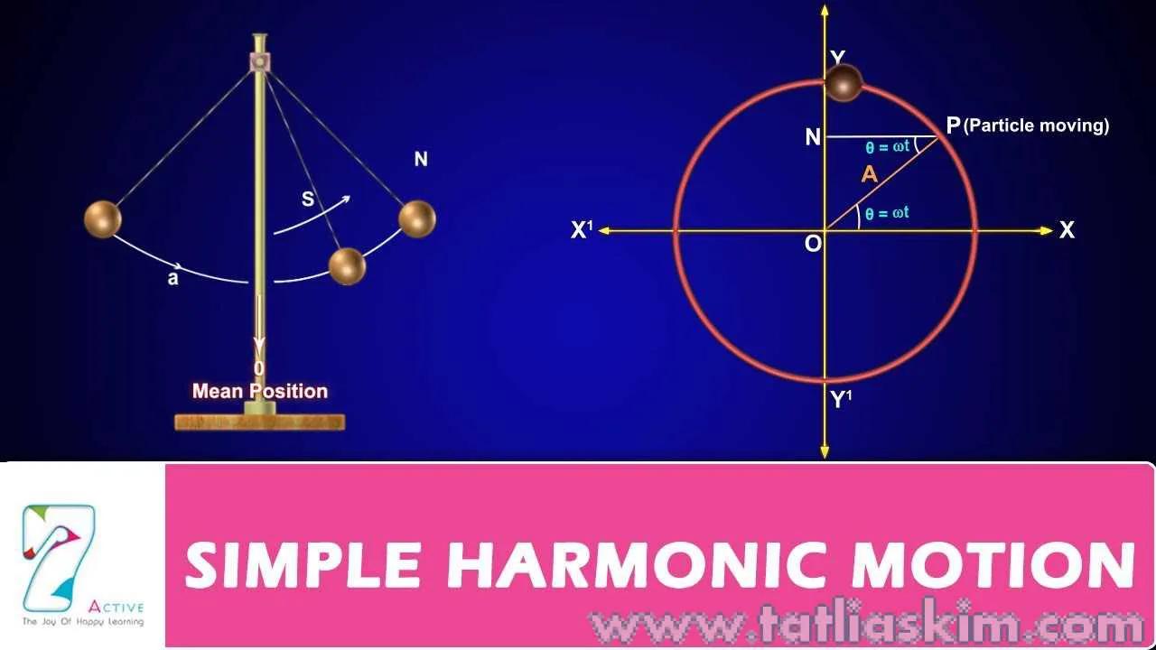 Basit Harmonik Hareket Formülleri 49 basit harmonik hareket